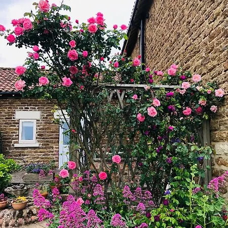 Hall Farm Bed & Breakfast Bed & Breakfast Stittenham