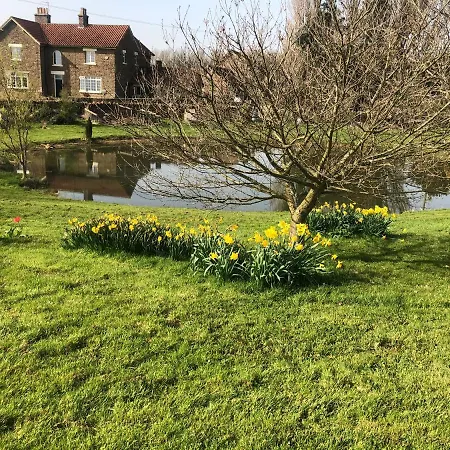 Bed & Breakfast Hall Farm Bed & Breakfast 4*