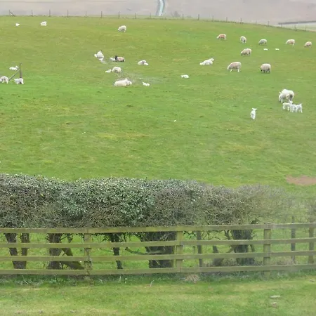 Hall Farm Bed & Breakfast Stittenham