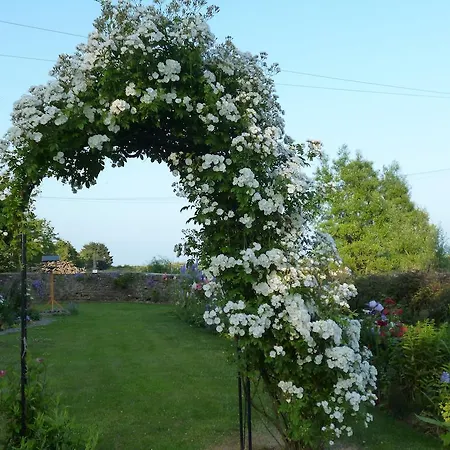 Bed & Breakfast Hall Farm Bed & Breakfast Stittenham
