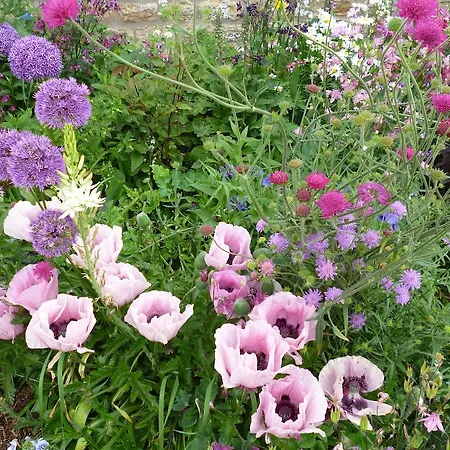 Hall Farm Bed & Breakfast