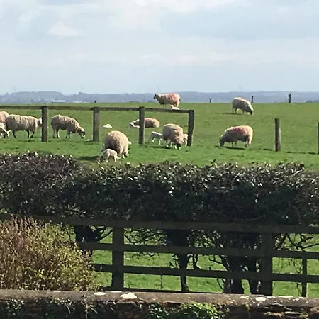 Hall Farm Bed & Breakfast Stittenham