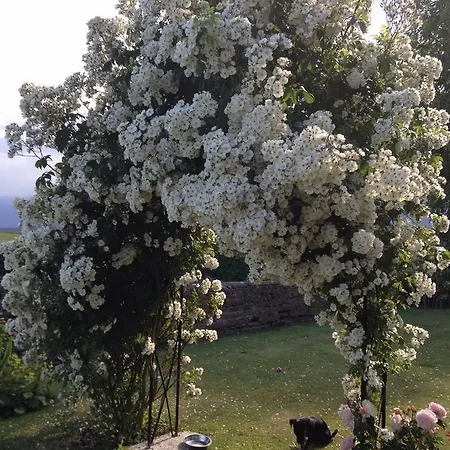 Hall Farm Bed & Breakfast