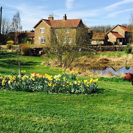 Bed & Breakfast Hall Farm Bed & Breakfast Stittenham